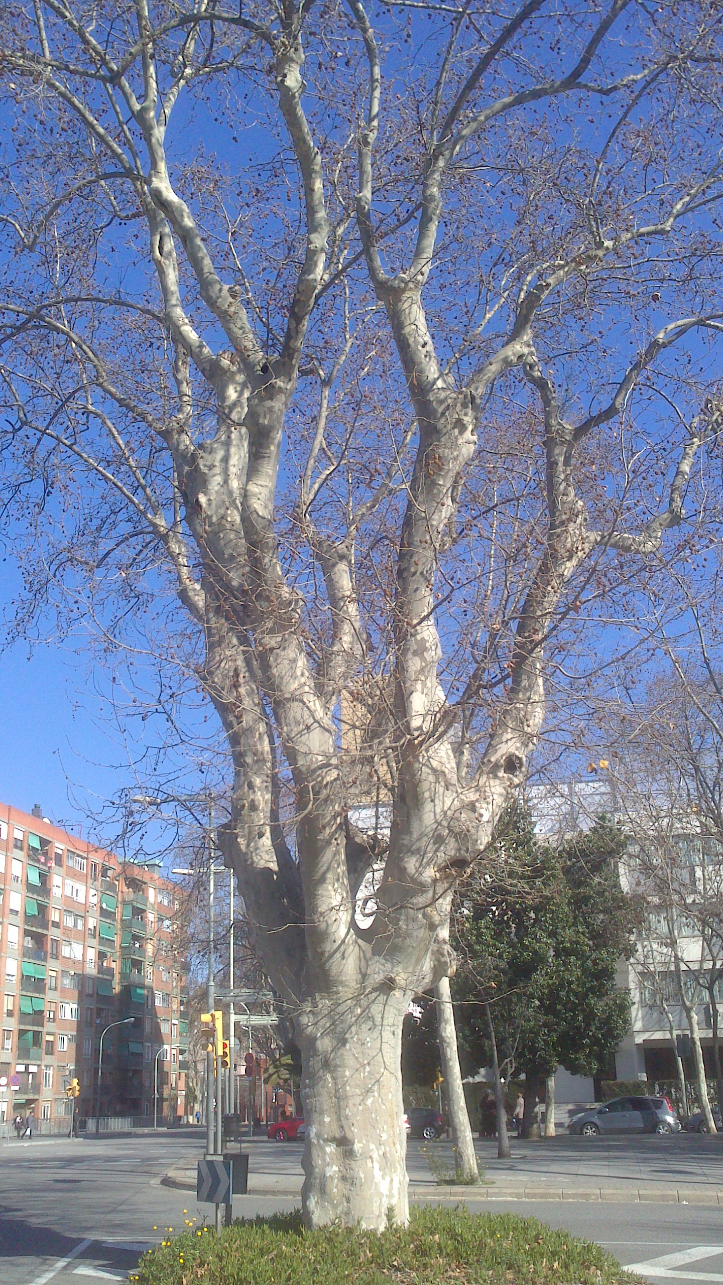 xperia-14-02-2015 123