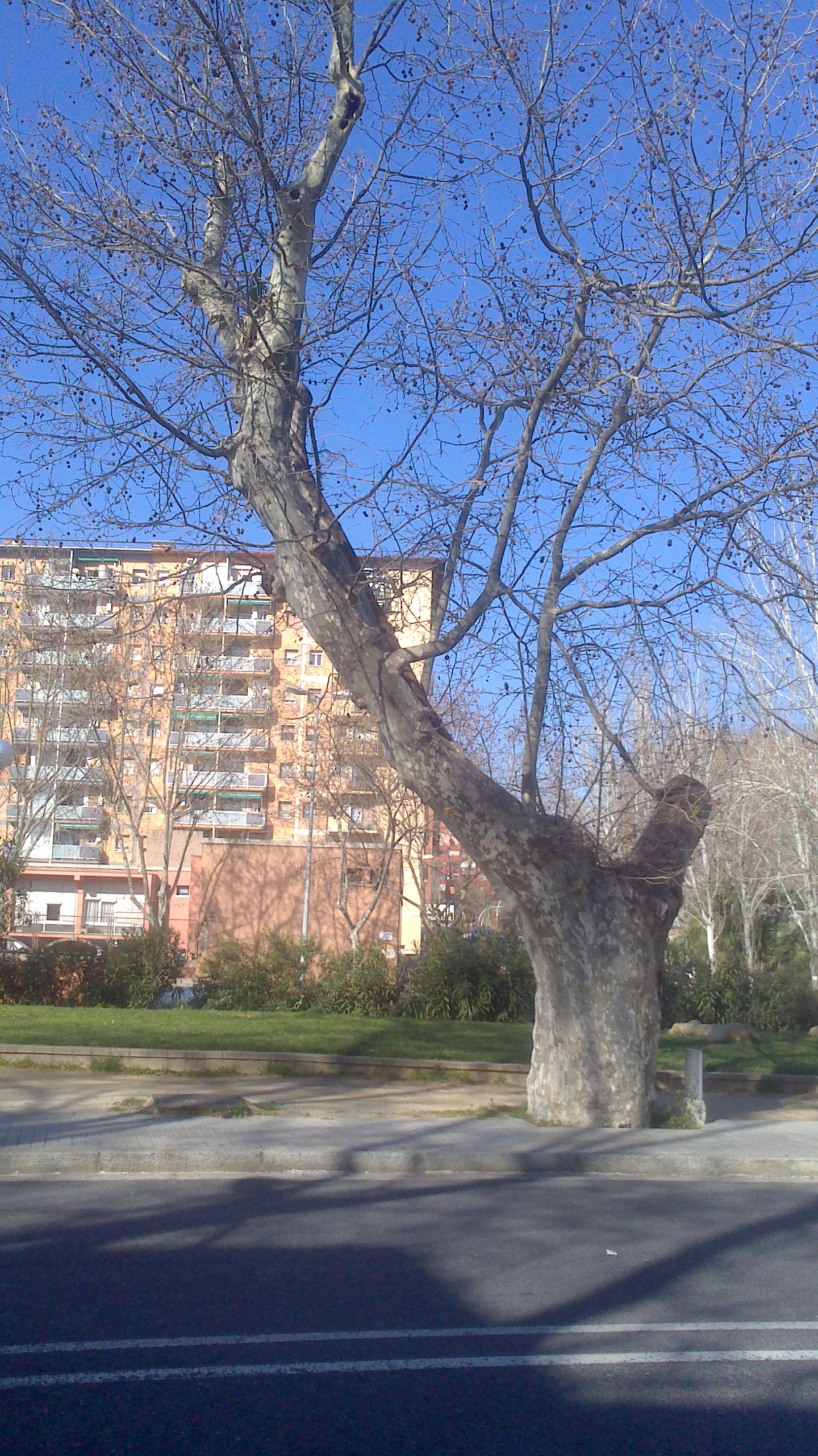 xperia-14-02-2015 124