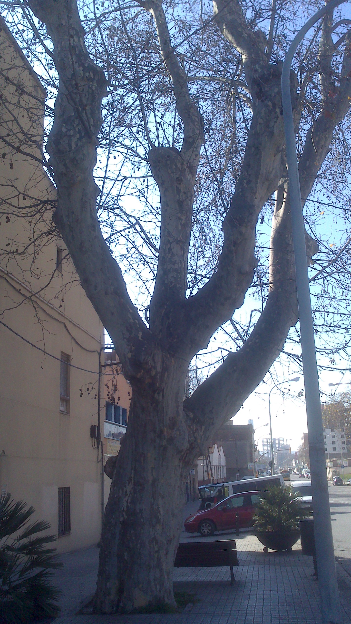 xperia-14-02-2015 125