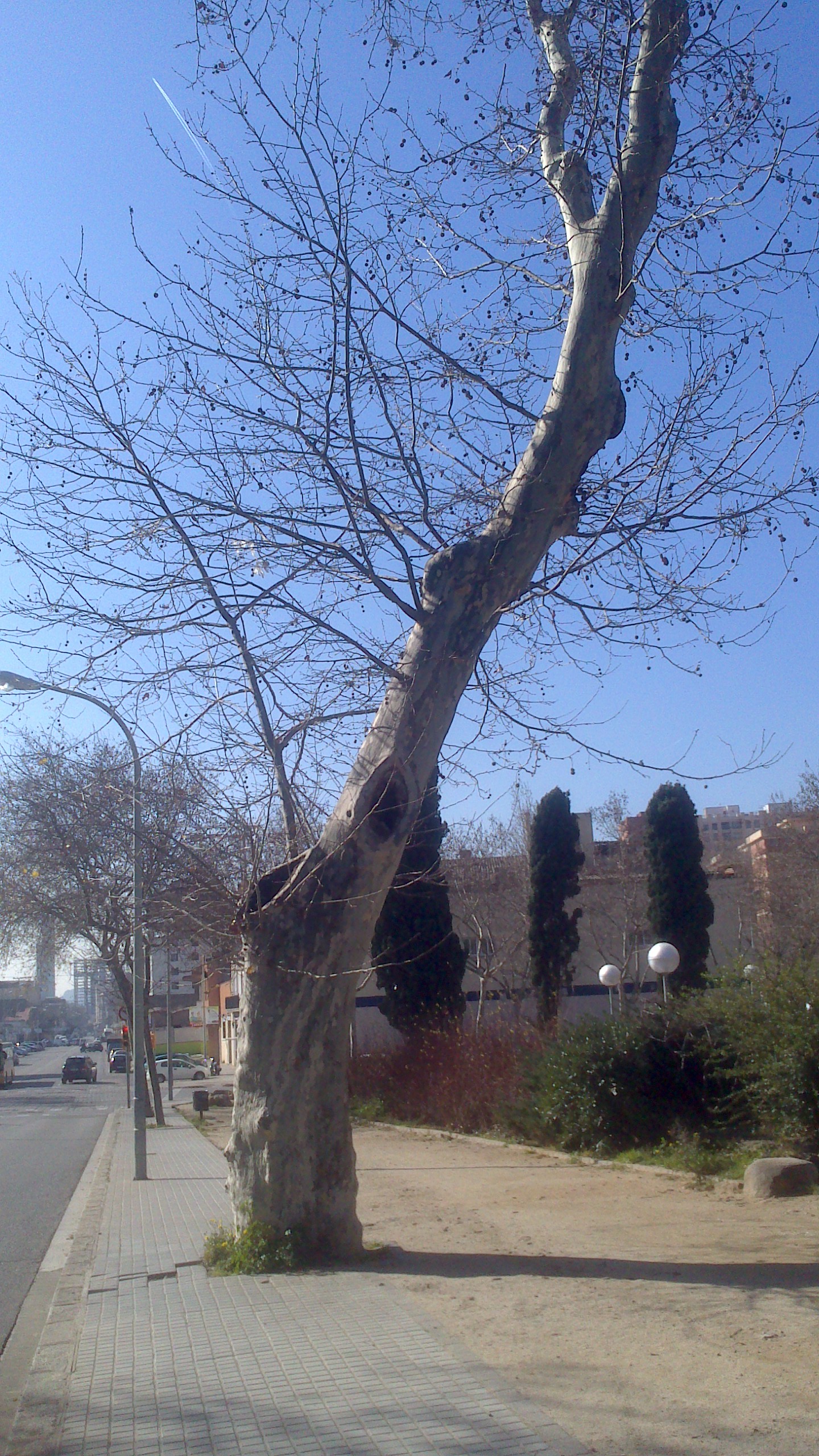 xperia-14-02-2015 126