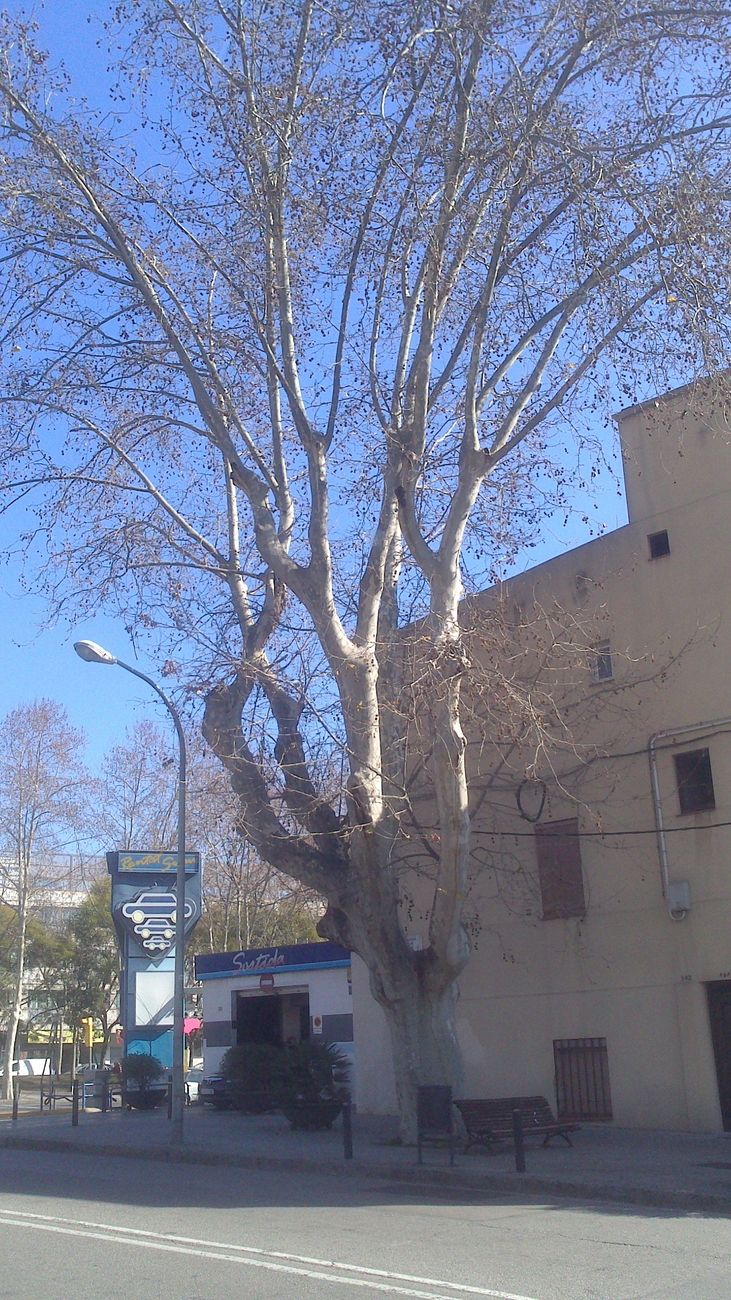 xperia-14-02-2015 127