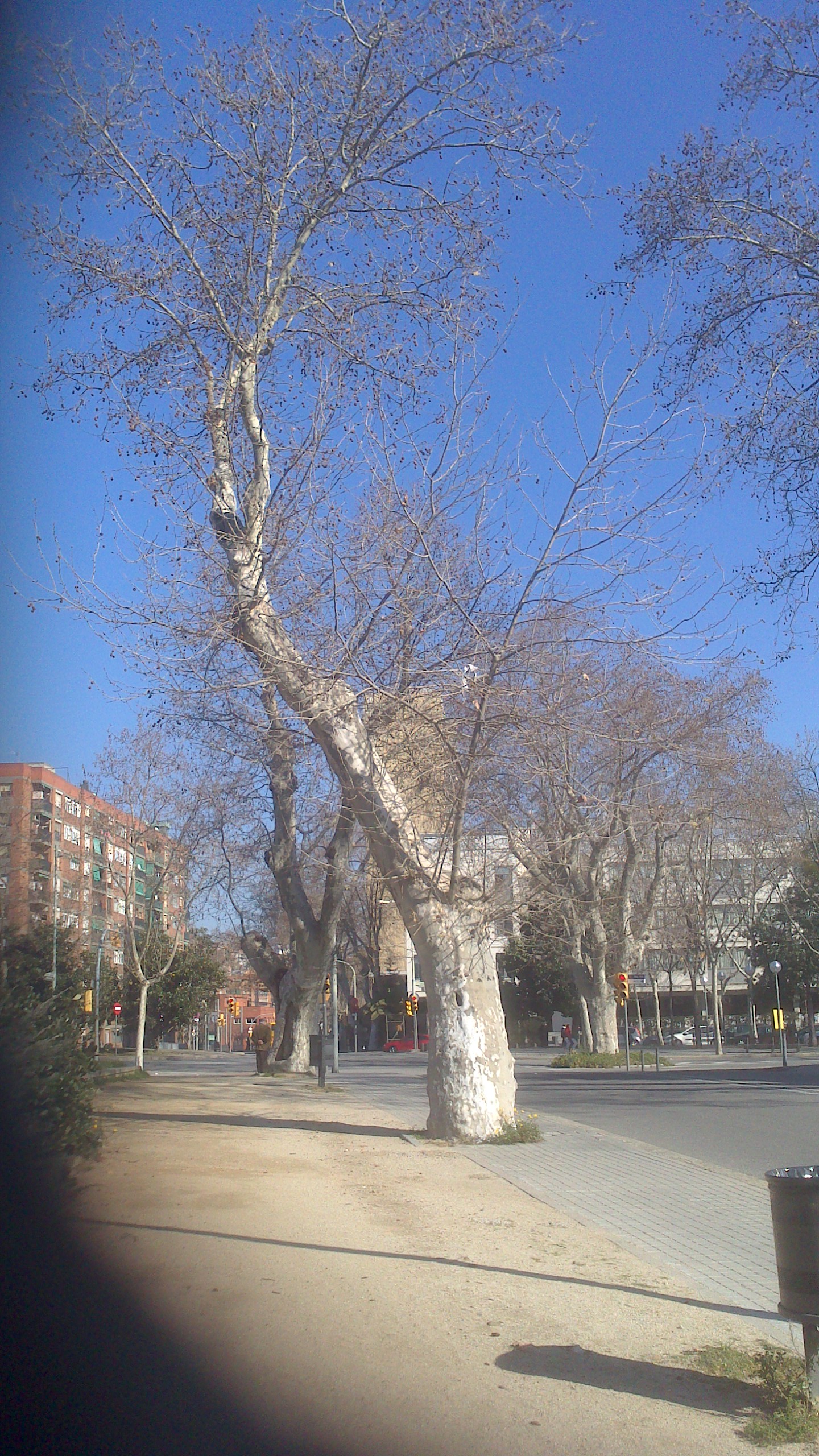 xperia-14-02-2015 130